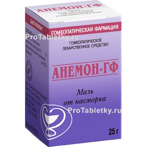 Фото анемона-гф