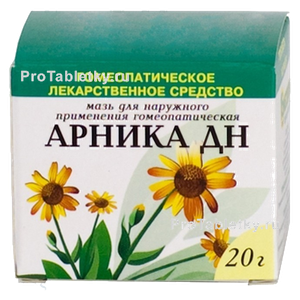 Фото арники ДН