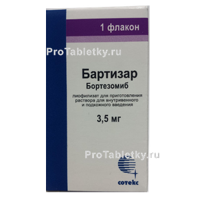 Фото бартизара