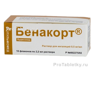 Фото бенакорта