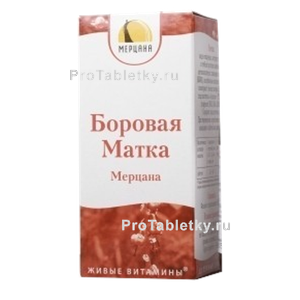Фото боровой матки мерцаны