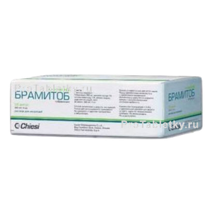 Фото брамитоба