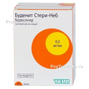 Фото буденита стери-неб