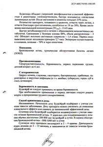 Будиэйр - официальная инструкция (аэрозоль) Будиэйр - официальная инструкция (аэрозоль)