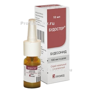 Фото будостера