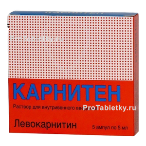 Фото карнитена