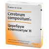 Церебрум композитум Н