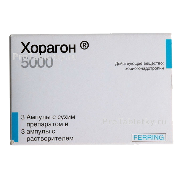 Хорагон - 2 отзыва, инструкция по применению