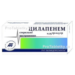 Фото цилапенема