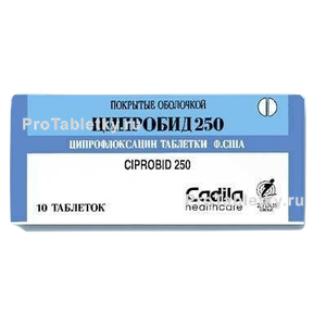 Фото ципробида