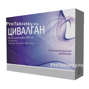 Фото цивалгана