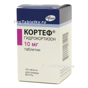 Фото кортефа