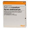 Кутис композитум