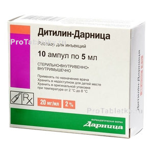 Фото дитилина-дарницы