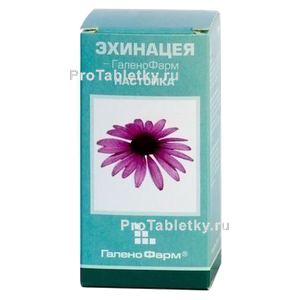 Фото эхинацеи-галенофарм