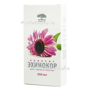 Фото эхинокора