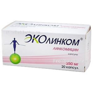Фото эколинкома