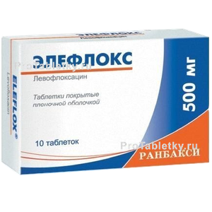 Фото элефлокса