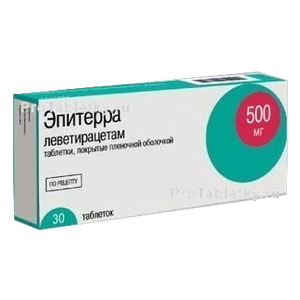 Фото эпитерры