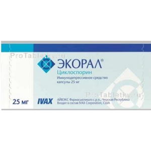 Фото экорала