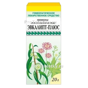 Фото эвкалипта-плюса