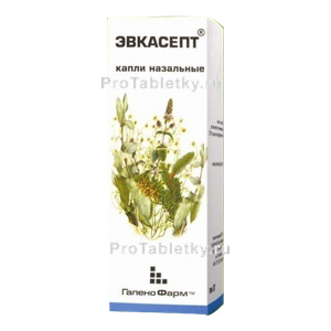 Фото эвкасепта