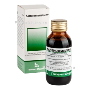 Фото галенофиллипта