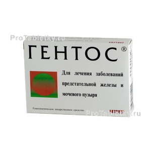 Фото гентоса