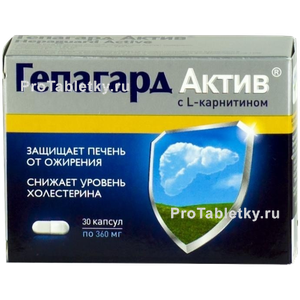 Фото гепагарда актива