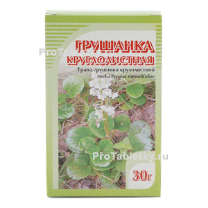 Фото грушанки