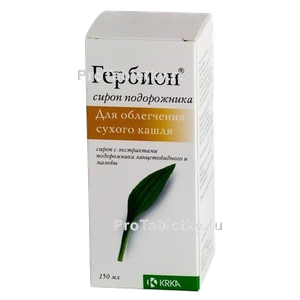 Фото гербиона сиропа подорожника