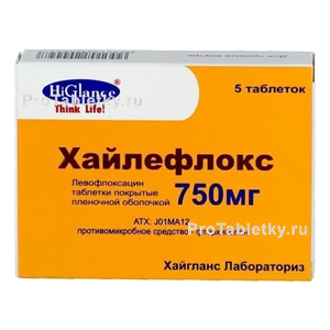 Фото хайлефлокса