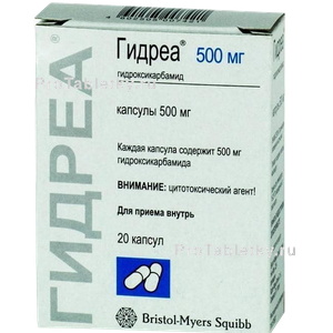 Фото гидреи