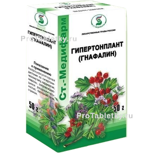 Фото гипертонпланта