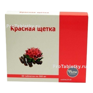 Фото красной щетки