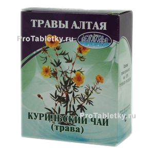 Фото курильского чая