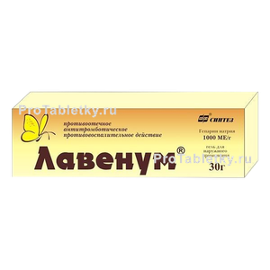 Фото лавенума