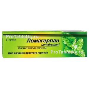 Фото ломагерпана
