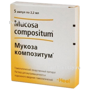 Фото мукозы композитума