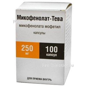 Фото микофенолата-тевы