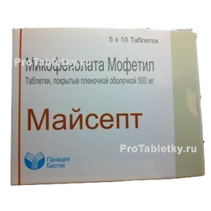 Фото майсепта