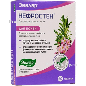 Фото нефростена