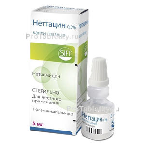 Фото неттацина