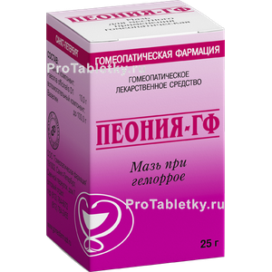 Фото пеонии-гф