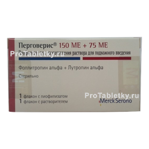 Фото перговериса