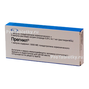 Фото прегнила