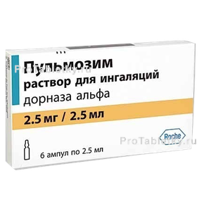 Фото пульмозима