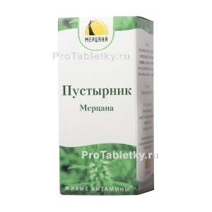 Фото пустырника мерцаны