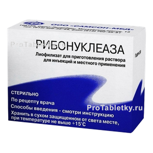 Фото рибонуклеазы