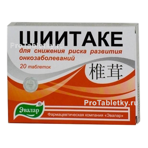 Фото шиитаке